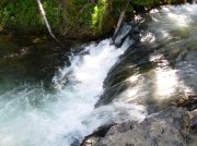 Summer '06 Sunriver 289 